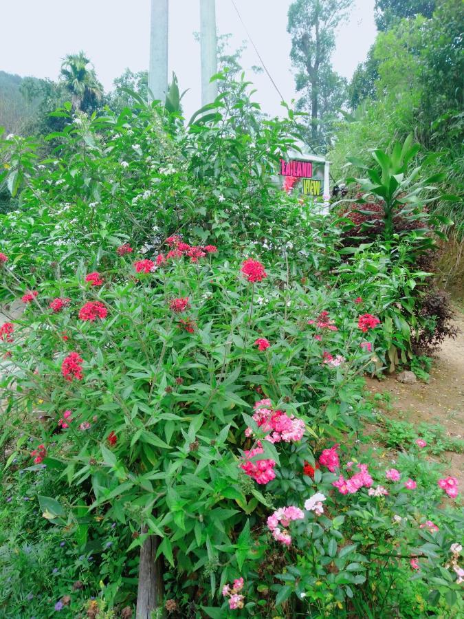 Ella Tea Land View Apartamento Exterior foto