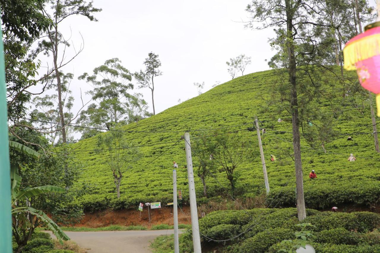 Ella Tea Land View Apartamento Exterior foto