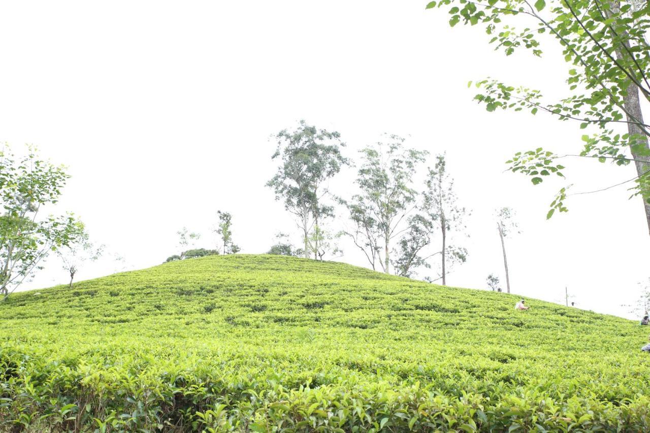 Ella Tea Land View Apartamento Exterior foto