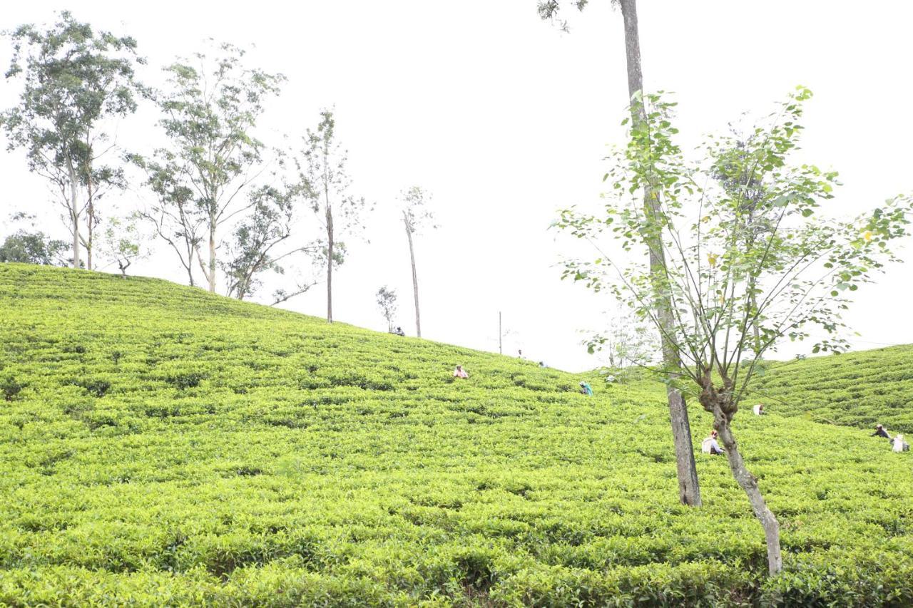 Ella Tea Land View Apartamento Exterior foto